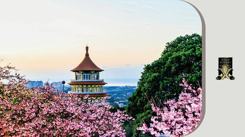 新北市政府農業局 2025淡水天元宮花見櫻花季 | 2025 MUSE Design Awards 榮獲金獎！