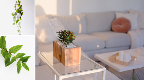 綠色植栽6種用處！從國際設計獎精選獲獎案例 探討綠色植栽在室內只能是擺設嗎？