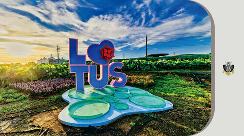 2024 法國設計獎金獎作品！桃園市政府農業局 愛將我們「蓮」在一起