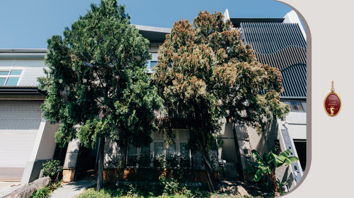 2024 TITAN金獎作品 ! 上華國際合作股份有限公司 藍天白雲 綠樹鶯啼 微風輕吹